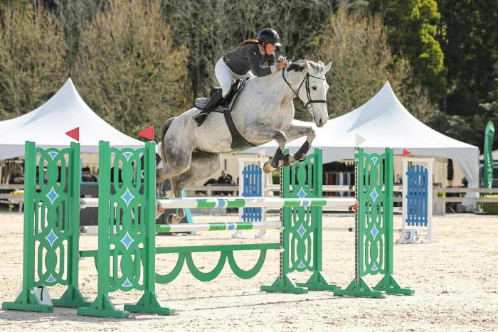 VIXEN XTREME - A Serious Future Horse
