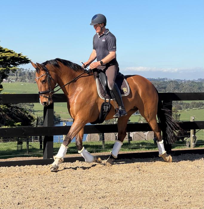 Price reduced- Mayfield Be Brazen