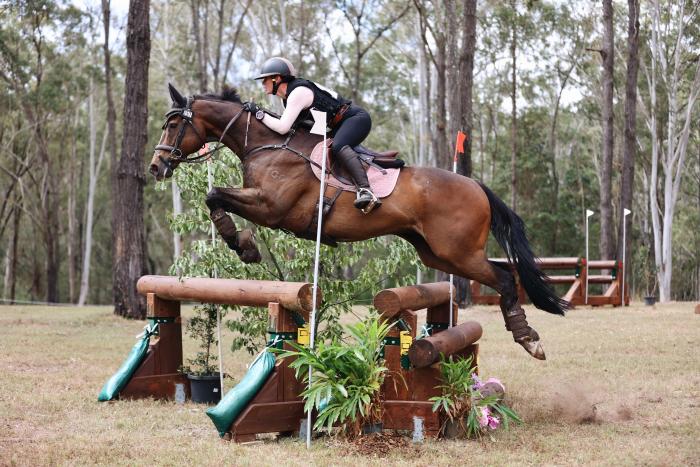 1.20m SHOWJUMPING / 1.05 EVENTING SCHOOLMASTER