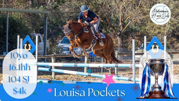 Louisa Pocket - point and shoot 104 SJ