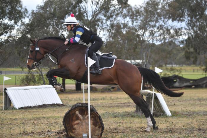 Exciting young Eventing prospect - Talent to burn!