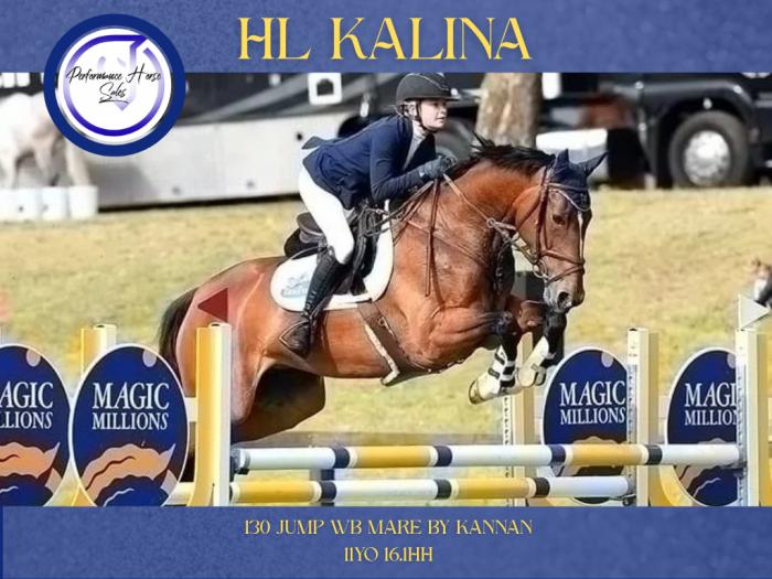 HL Kalina WB 120-130 SJ Superstar!