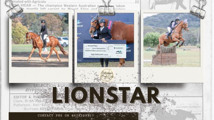 Lionstar - EVA95, 110 SJ and Elementary dressage