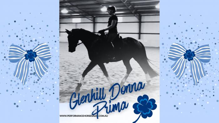 Glenhill Donna Prima by Bluefields Dankeschoen