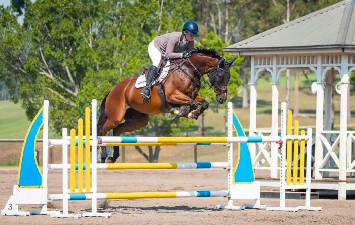 WORLD CLASS JUMPING MARE FOR SALE