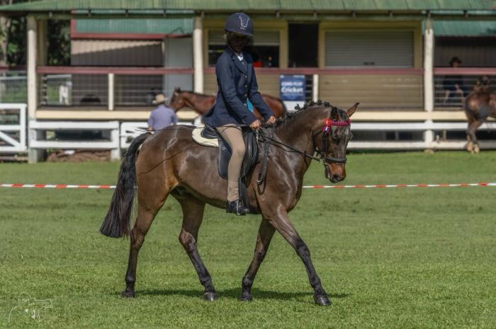 The perfect pony 💕