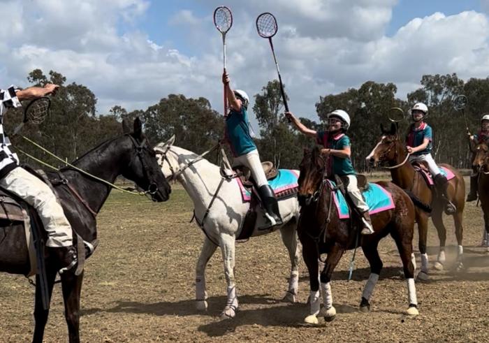 Quater Horse Mare for Sale