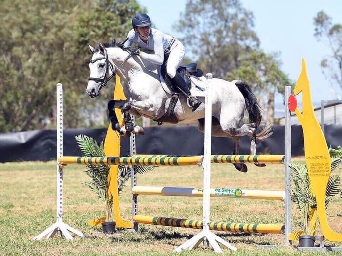 Talented Charlemagne Ego Z Gelding