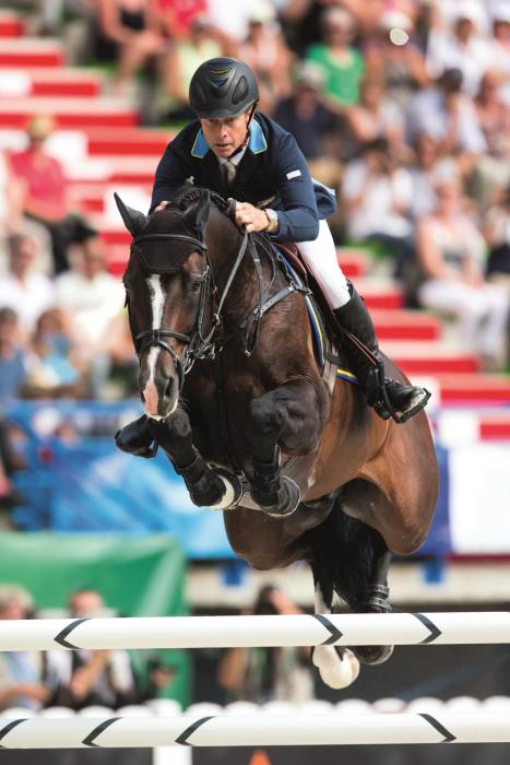 Elite Showjumping Prospect for Sale