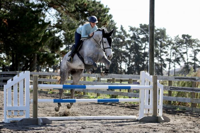 VIXEN XTREME - A Serious Future Horse