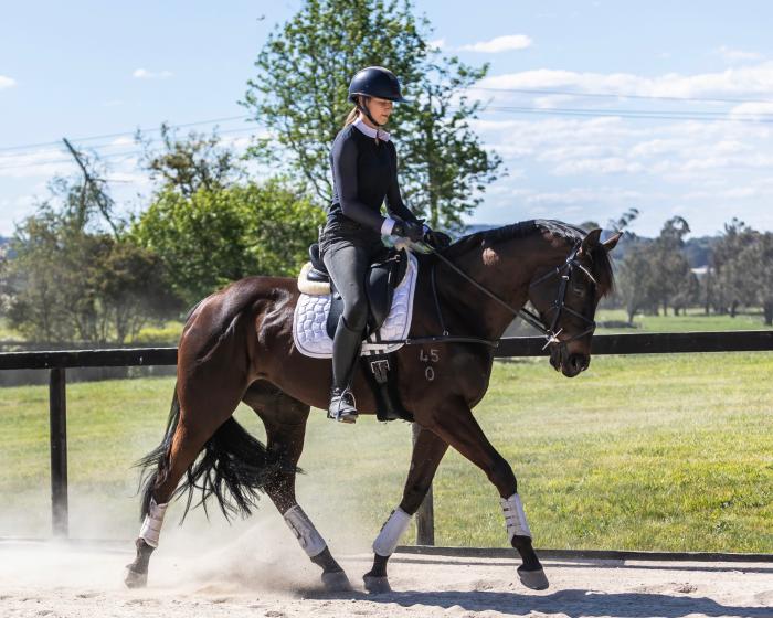 Future Star 🌟 Dressage, Show or Event