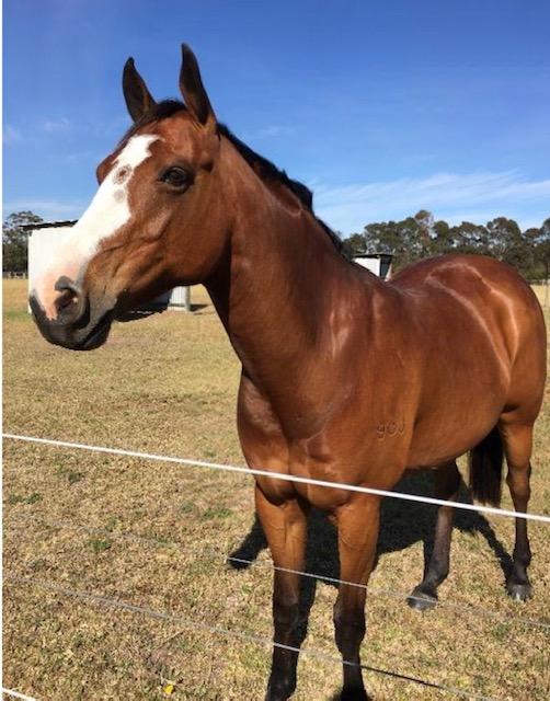 Gordon Park Catalyst - Experienced All Rounder