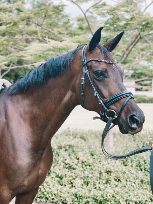 Movement, beauty, and scope 