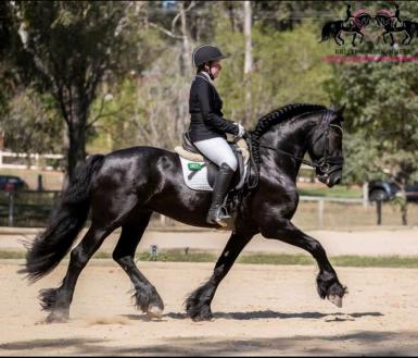 Valentino Ropi - Half Brother