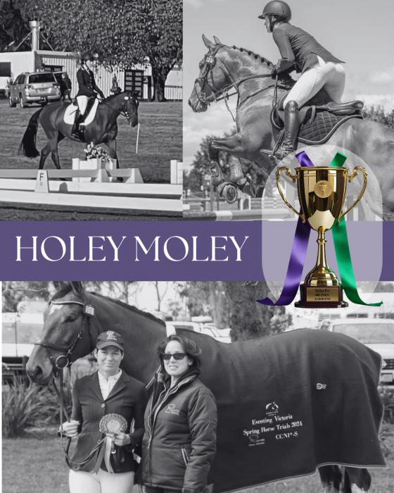 Holey Moley - super star 1* WB eventer