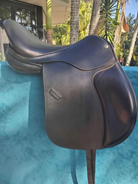 17" Collegiate Scholar AP Saddle