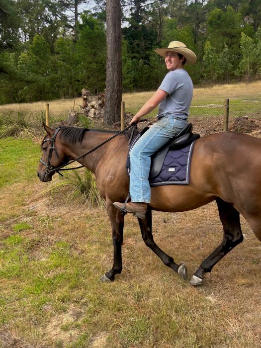 Quiet trail riding / pleasure gelding