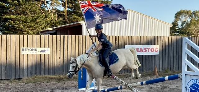 Performance Pony 12.1 12yo welsh x ARP