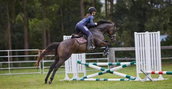 Flashy Thoroughbred Mare - Full of Potential