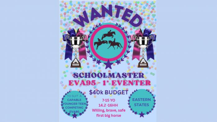 WANTED TO BUY - EVA95-1* eventer for a junior