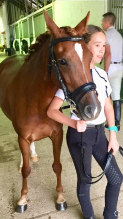 Pretty German Riding Pony X