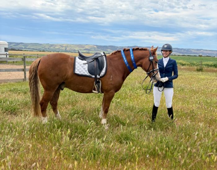 Stunning Pony Dressage Prospect