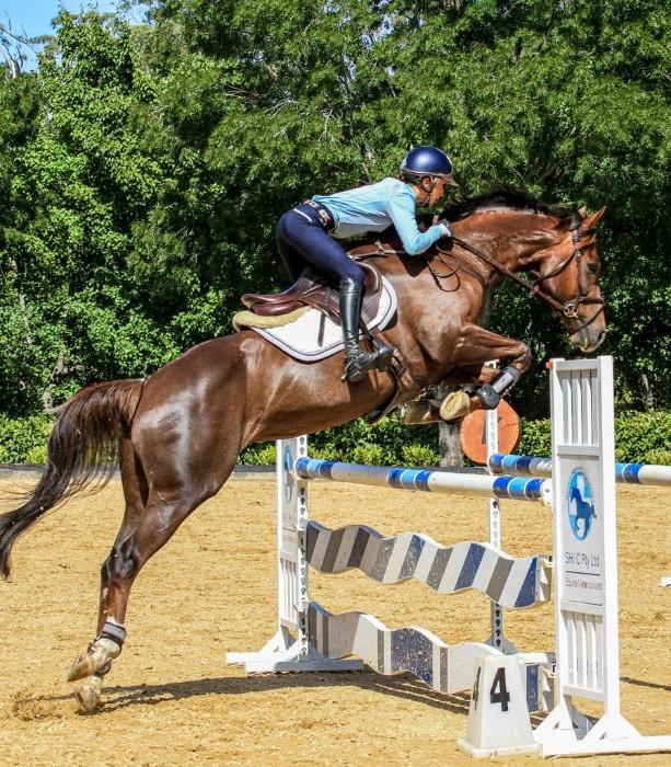 Dressage, sj or event.