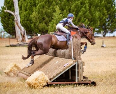 WhatsApp Image 2021-01-12 at 6.02.30 PM.jpeg