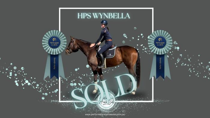 HPS Wynbella - dressage, jump or breed
