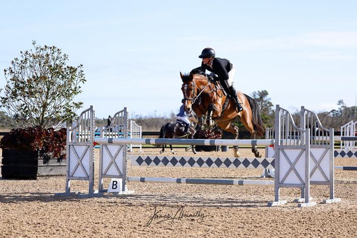 Young SJ/Eventing Mare