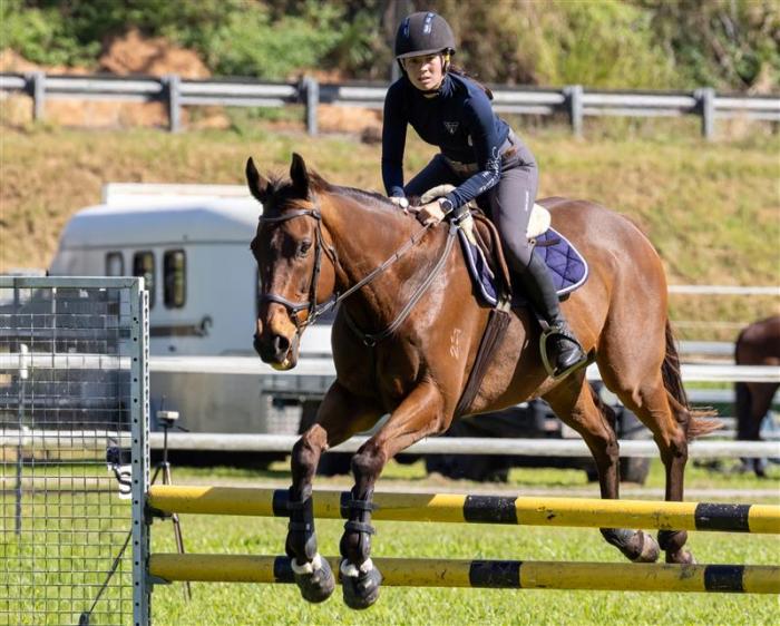 Ultimate Showjumping Schoolmaster