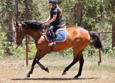 Springvale First Waltz