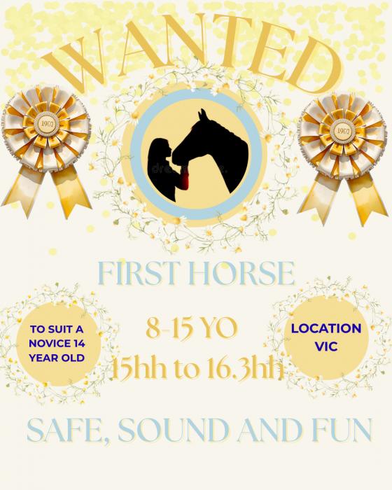 WANTED - first pony club horse for a novice 14yo