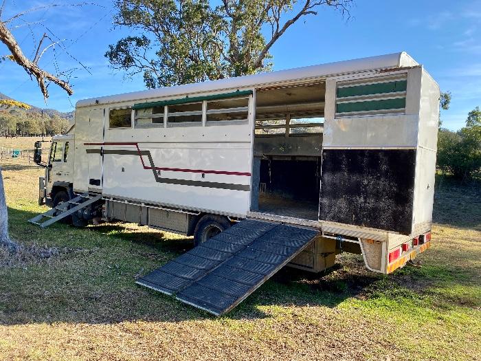 Horsezone Buy, show, sell horses and equestrian related products