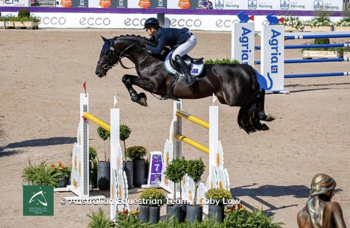 Black Jack IXE Broodmare