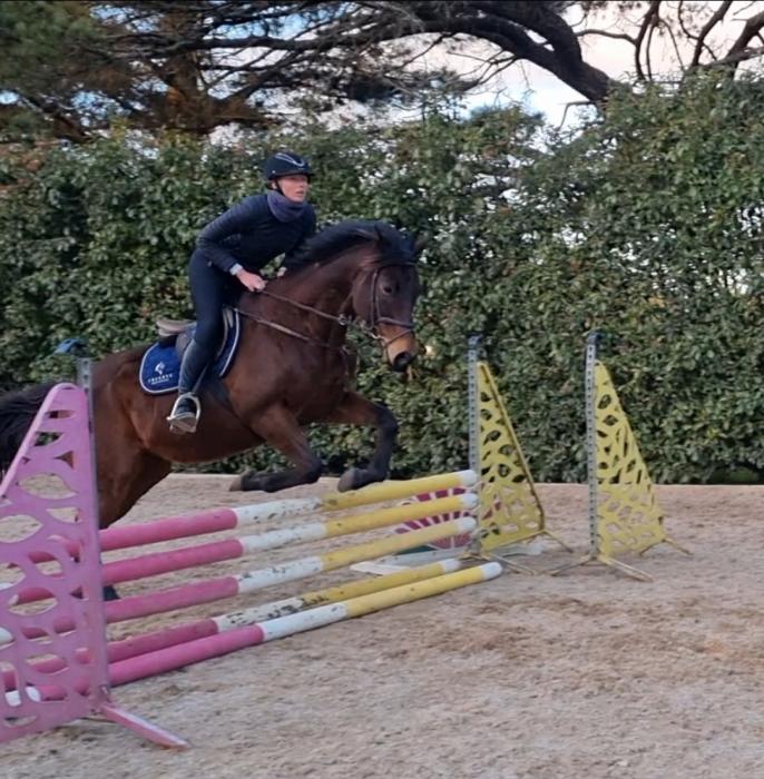 Angels Voice - Showjumping Prospect