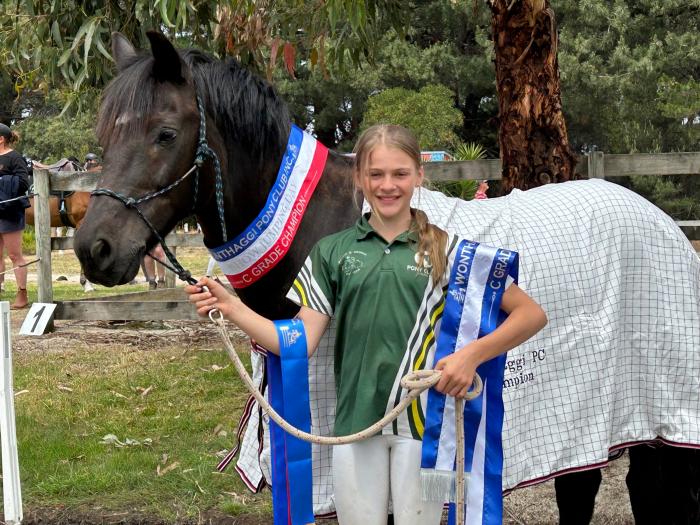 The Flying Cob/ Unicorn