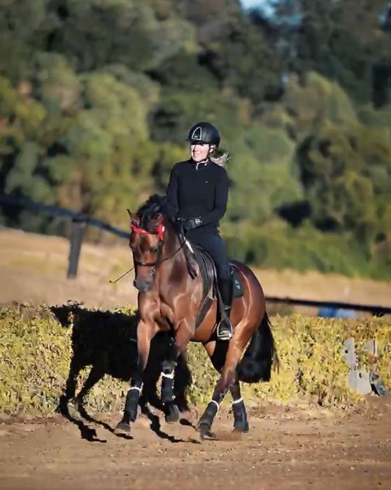 Super Moving Large Pony !!!