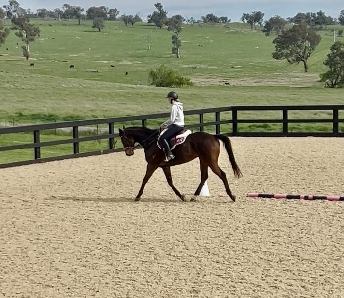 Honest Schoolmaster
