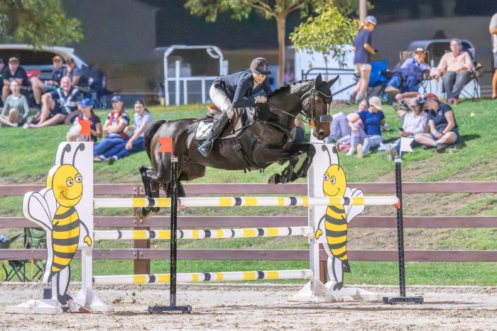Ultimate 4* Eventer or Showjumper