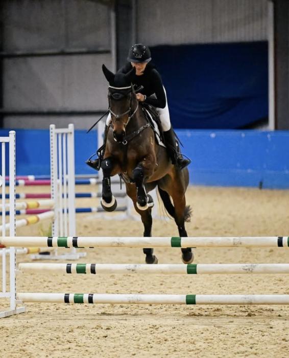 Incredible OTT Eventing/SJ Prospect