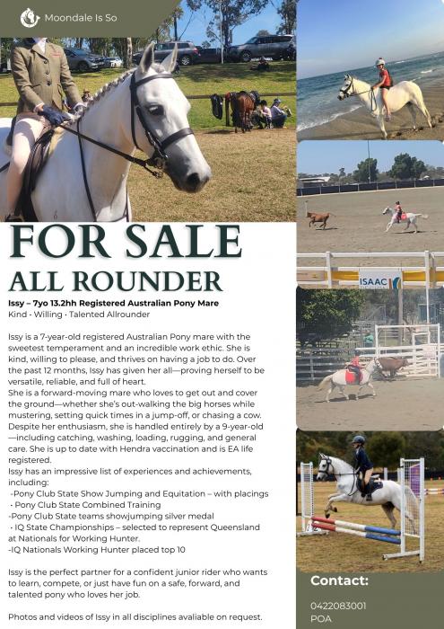 Moondale Is So-Perfect Allrounder