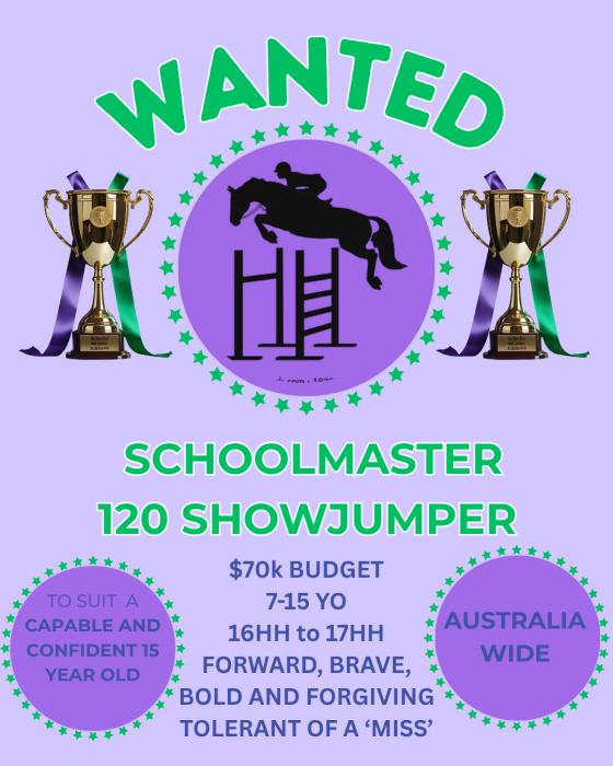 120 Warmblood Showjumping Schoolmaster
