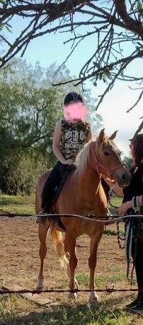 13.2hh 9yrs golden princess with beautiful nature