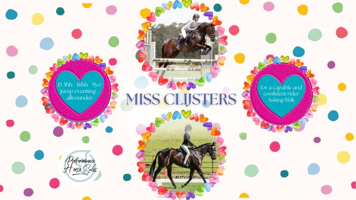 Miss Clijsters - lovely SJ/ Eventing/ Allrounder