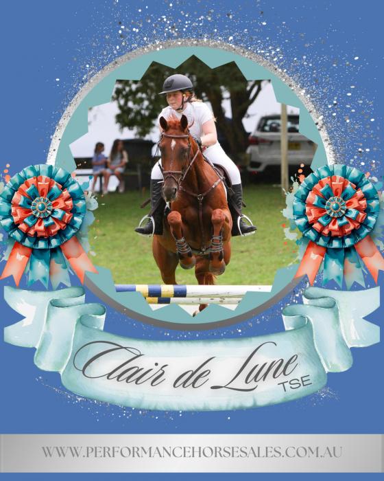 Clair De Lune TSE - EVA95 Eventer/ 110 SJ