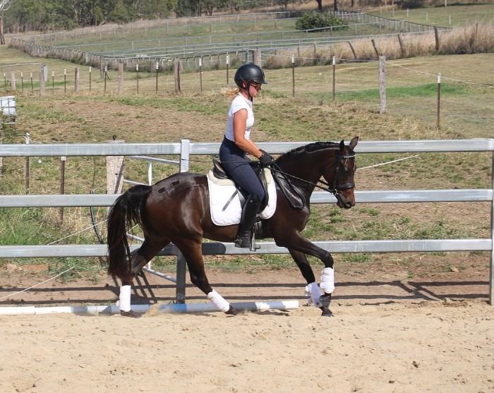 Malibu Park Top Class