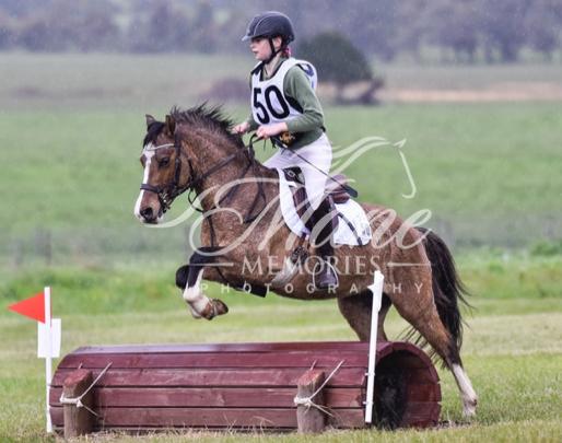 Super Pony Club Allrounder 