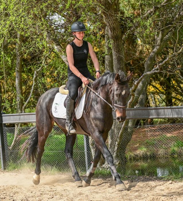Performance Mare For The Future