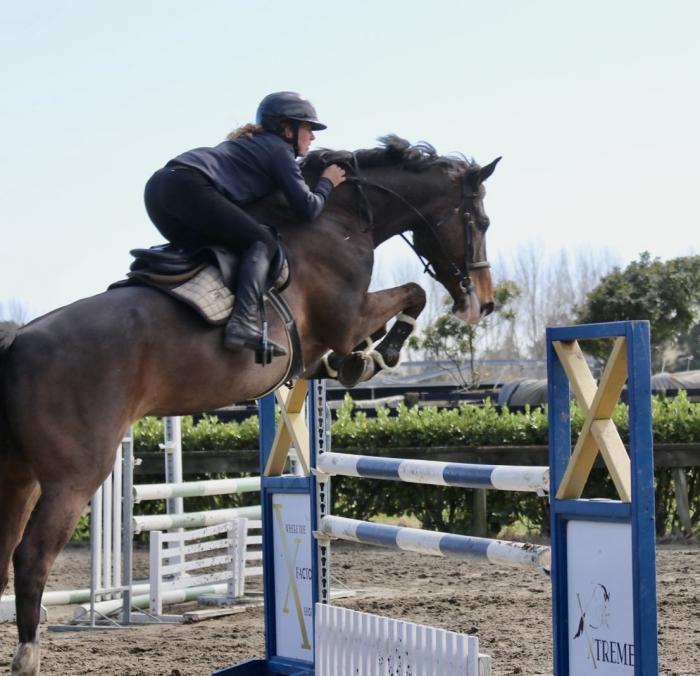 GULLIVER XTREME - Quality & Scope